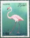 Colnect-1296-666-Greater-Flamingo-Phoenicopterus-ruber-roseus.jpg