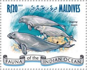 Colnect-4291-007-Dugong-Dugong-dugon.jpg