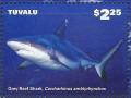 Colnect-6344-962-Grey-Reef-Shark.jpg