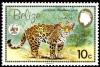 Colnect-1631-067-Jaguar-Panthera-onca.jpg