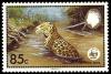 Colnect-1631-069-Jaguar-Panthera-onca.jpg