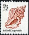 Colnect-4017-259-Frilled-Dogwinkle-Nucella-lamellosa.jpg