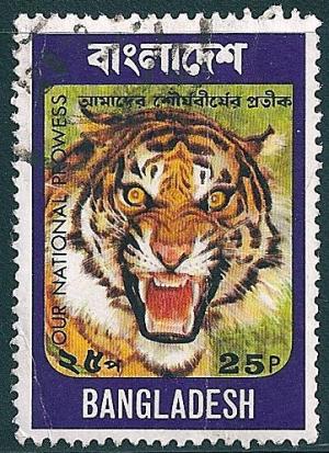 STS-Bangladesh-2-300dpi.jpg-crop-361x497at816-1160.jpg