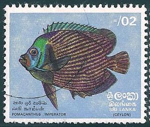 STS-Sri-Lanka-1-300dpi.jpg-crop-412x348at1708-259.jpg