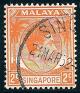 STS-Singapore-1-300dpi.jpg-crop-267x313at453-313.jpg