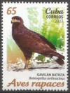 Colnect-4597-748-Common-Black-Hawk-Buteogallus-anthracinus.jpg