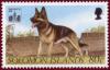 Colnect-1724-121-German-Shepherd-Canis-lupus-familiaris.jpg