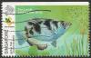Colnect-4336-222-Banded-Archerfish-Toxates-jaculator.jpg