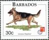 Colnect-5604-212-German-Shepherd-Canis-lupus-familiaris.jpg