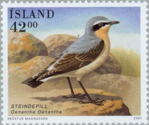 Colnect-165-422-Northern-Wheatear-Oenanthe-oenanthe.jpg