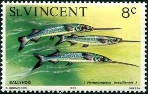 Colnect-5649-028-Ballyhoo-Hemiramphus-brasiliensis.jpg