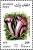 Colnect-2224-359-Pink-Fairhead-Calocybe-persicolor.jpg