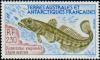 Colnect-886-907-Patagonian-Toothfish-Dissostichus-eleginoides.jpg