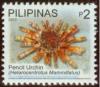 Colnect-1832-612-Slate-Pencil-Urchin-Heterocentrotus-mammillatus.jpg