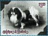 Colnect-5942-884-Japanese-Chin-Canis-lupus-familiaris.jpg