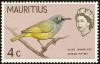 Colnect-734-475-Mauritius-Olive-White-eye-Zosterops-chloronothos.jpg