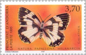 Colnect-142-185-Marbled-White-Melanargia-galathea.jpg