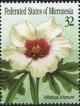 Colnect-4006-749-Hibiscus-trionum.jpg