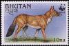 Colnect-1720-368-Dhole-Cuon-alpinus.jpg