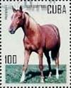 Colnect-2567-233-Holsteiner-Horse-Equus-ferus-caballus.jpg