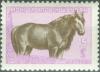 Colnect-3156-289-Mongolian-Horse-Equus-ferus-caballus.jpg