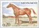Colnect-148-195-Anglo-Arab-Horse-Equus-ferus-caballus.jpg