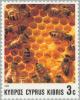 Colnect-177-343-European-Honeybee-Apis-mellifica.jpg