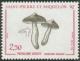Colnect-876-280-Verget-Tricholoma-Tricholoma-virgatum.jpg