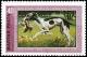 Colnect-900-632-Hungarian-Greyhound-Canis-lupus-familiaris.jpg