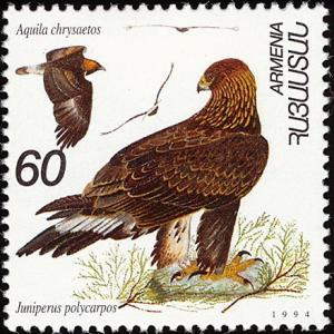 Colnect-5250-659-Golden-Eagle-Aquila-chrysaetos-and-Juniper-Juniperus-poly.jpg