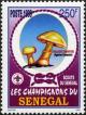Colnect-2231-084-Field-Mushroom-Agaricus-campestris.jpg