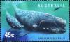 Colnect-1308-547-Southern-Right-Whale-Eubalaena-australis.jpg