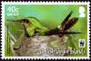 Colnect-5351-251-Antillean-Crested-Hummingbird-Orthorhyncus-cristatus.jpg