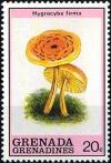 Colnect-2932-862-Hygrocybe-firma.jpg