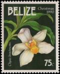 Colnect-2229-603-Chysis-bractescens.jpg