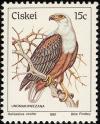 Colnect-1476-730-African-Fish-Eagle-Haliaeetus-vocifer.jpg