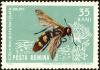Colnect-4318-478-Mammoth-Wasp-Scolia-maculata.jpg