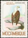 Colnect-893-080-African-Fish-Eagle-Haliaeetus-vocifer.jpg