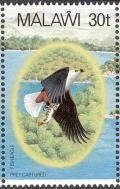 Colnect-864-273-African-Fish-Eagle-Haliaeetus-vocifer.jpg
