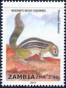 Colnect-2448-610-Boehm-s-Bush-Squirrel-Paraxerus-boehmi.jpg