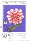 Colnect-4823-826-Green-dahlias-Dahlia-variabilis-Desf.jpg