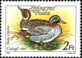 Colnect-5846-243-Eurasian-Teal-Anas-crecca.jpg
