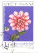 Colnect-4823-826-Green-dahlias-Dahlia-variabilis-Desf.jpg