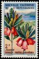 Colnect-853-807-Bikkia-fritillario%C3%AFdes.jpg