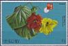 Colnect-4609-054-Hibiscus-tiliaceus.jpg