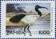 Colnect-488-962-African-Sacred-Ibis-Threskiornis-aethiopicus.jpg