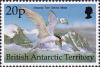 Colnect-2822-614-Antarctic-Tern-Sterna-Vittata.jpg