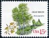 Colnect-4845-816-American-TreesGray-Birch.jpg