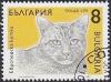 Colnect-819-994-European-Domestic-Cat-Felis-silvestris-catus.jpg