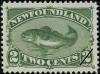 Colnect-919-764-Atlantic-Cod-Gadus-morrhua.jpg